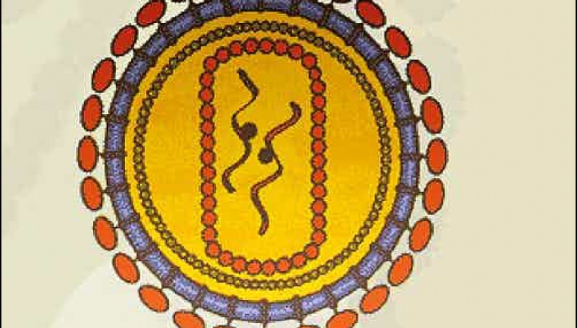 La Guia Pràctica de la Sida arriba a la seva 30a edició consolidant-se com a llibre de referència per a l’estudi i maneig clínic de la infecció pel VIH al món de parla hispana.