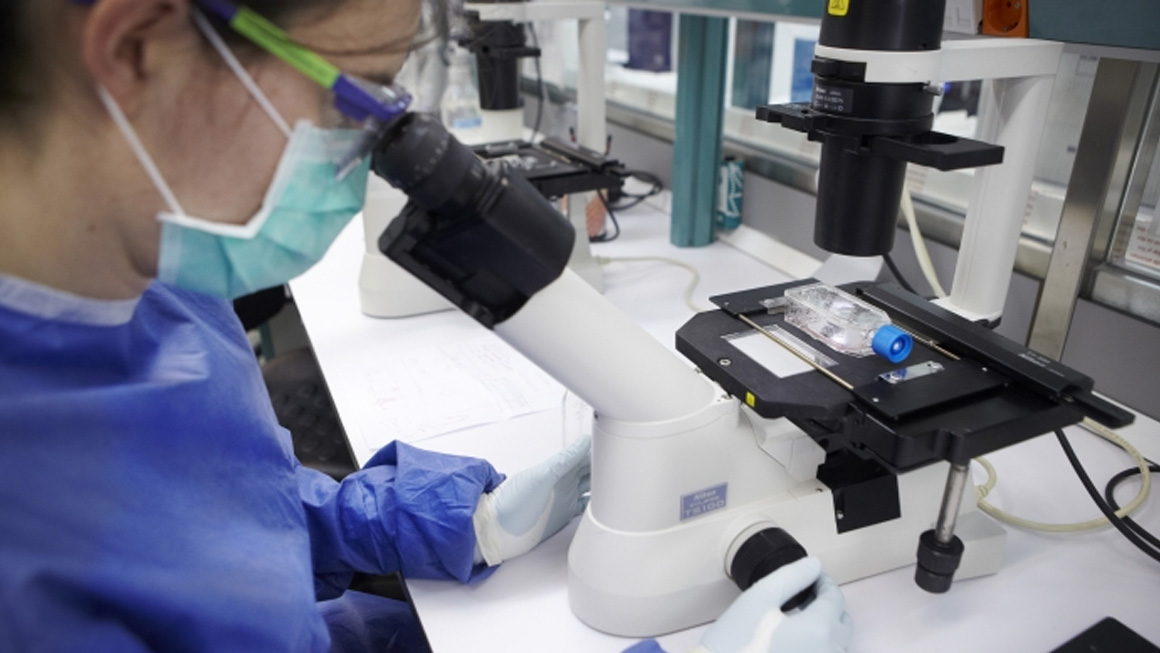 Projecte europeu RBDCOV