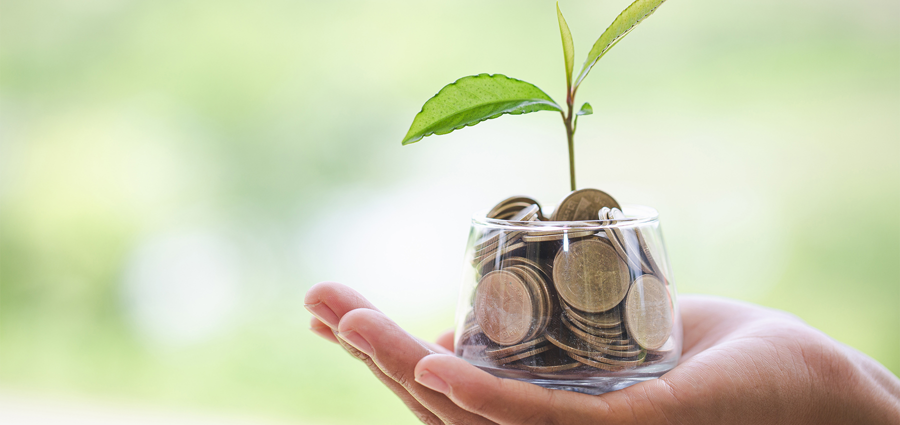 ¿Sabías que dar a entidades sin ánimo de lucro tiene ahora más ventajas fiscales?