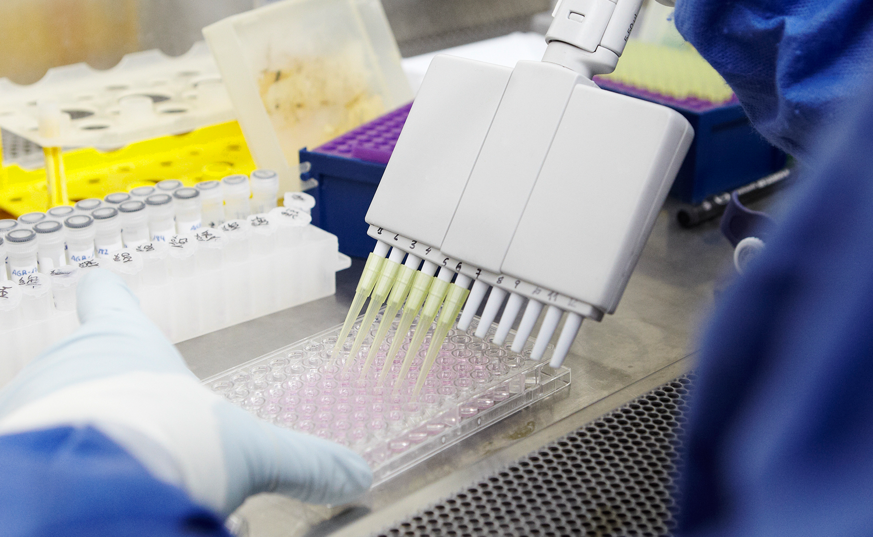 Phase II clinical trial AELIX-003 confirms that the immune response to the HTI therapeutic vaccine helps improve HIV control without treatment